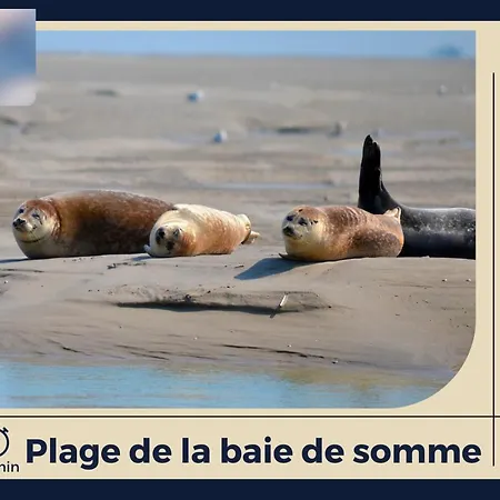 Appartement The Golden Bridge - Confort - Centre-ville *